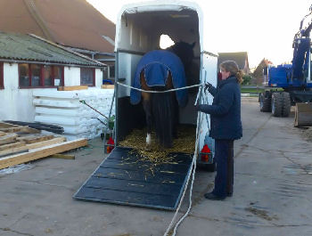 Beatrix trailerladen 2 1